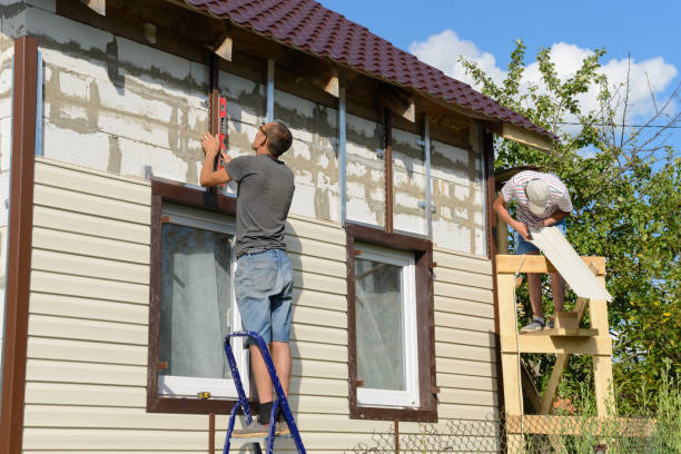 Affordable Siding Repair and Maintenance Services in Wells, MN